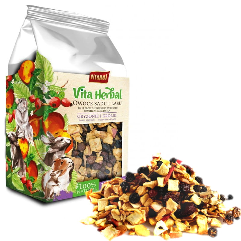 owoce sadu i lasu full.jpg